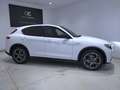 Alfa Romeo Stelvio 2.2 Executive Q4 210 Aut. Blanco - thumbnail 5