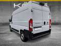 Fiat Ducato Serie 9 35 Multijet 140 L2H2 Kastenwagen Weiß - thumbnail 4