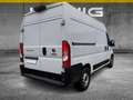 Fiat Ducato Serie 9 35 Multijet 140 L2H2 Kastenwagen Weiß - thumbnail 3