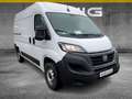 Fiat Ducato Serie 9 35 Multijet 140 L2H2 Kastenwagen Weiß - thumbnail 2