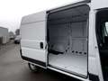 Fiat Ducato Serie 9 35 Multijet 140 L2H2 Kastenwagen Weiß - thumbnail 8