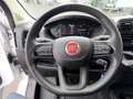 Fiat Ducato Serie 9 35 Multijet 140 L2H2 Kastenwagen Weiß - thumbnail 10