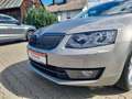 Skoda Octavia Combi Joy 1.4 TSI Bi-Xenon Kurvenlicht 2-Zonen-Kli Beige - thumbnail 13