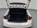 Skoda Fabia 1.0 TSI DSG Selection Wit - thumbnail 5