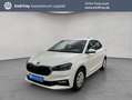 Skoda Fabia 1.0 TSI DSG Selection Wit - thumbnail 1