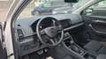 Skoda Karoq Scout 4x4*ACC*ASSIST*AHK* Weiß - thumbnail 9