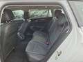Volkswagen Passat Variant 2.0 TDI SCR DSG Elegance (CJ) Weiß - thumbnail 13