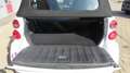 smart forTwo Cabrio Micro Hybrid Drive Weiß - thumbnail 8