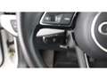 Audi A4 Avant 35 TDI Aut LED NAVI SITZHZG TEMP PDC Weiß - thumbnail 22
