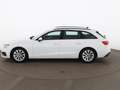 Audi A4 Avant 35 TDI Aut LED NAVI SITZHZG TEMP PDC Weiß - thumbnail 6