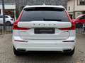 Volvo XC60 Inscription AWD*Pano*Luftfahrw*Scheckheft* Blanc - thumbnail 4