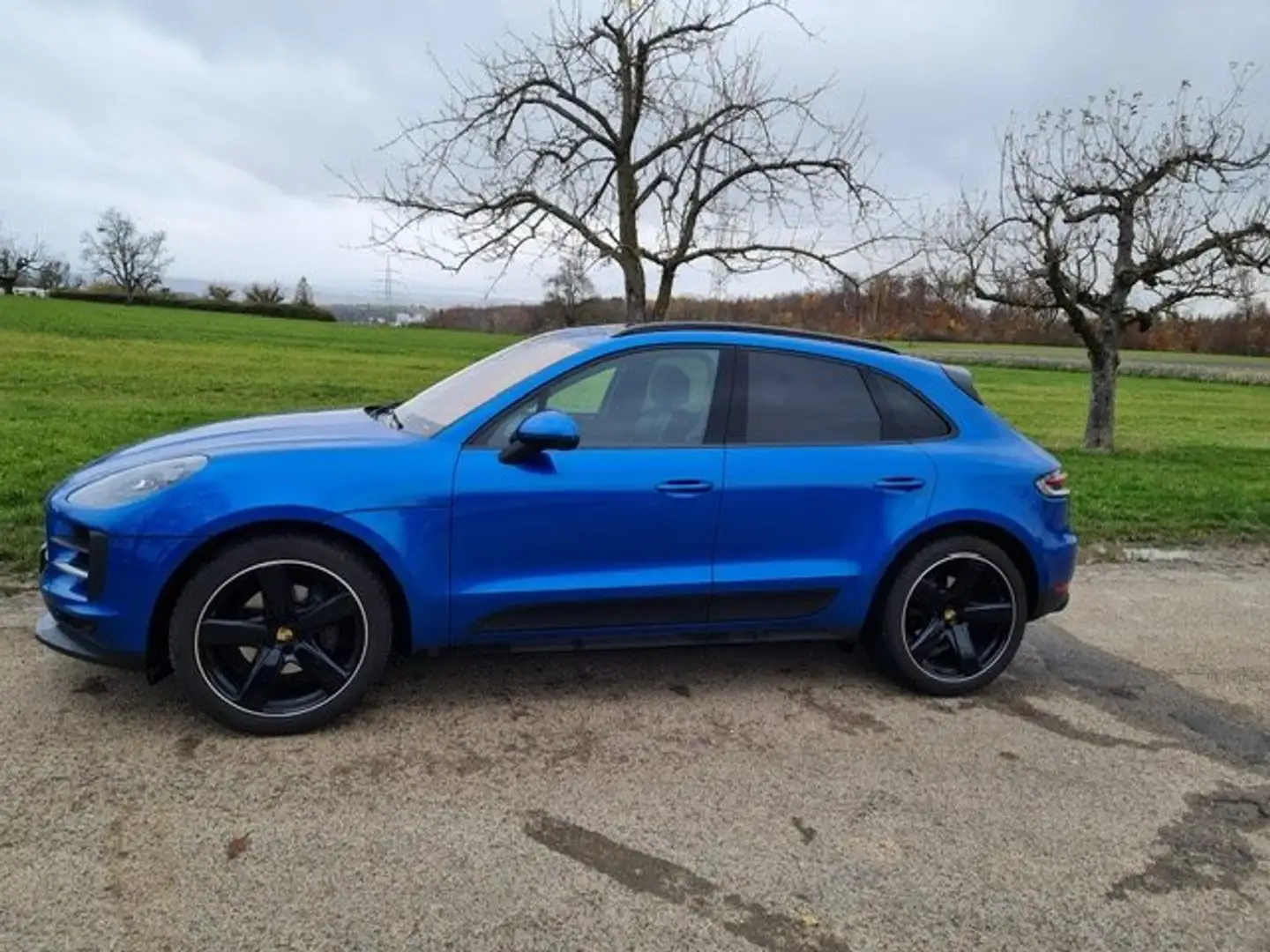 Porsche Macan Macan PDK 360° Kamera, 2 J. Approved Garantie Blau - 1