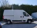 Peugeot Boxer 2.2hdi *DEFEKTE MOTOR*MOTEUR CASSÉ*ENGINE BROKEN* Weiß - thumbnail 9