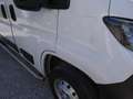 Peugeot Boxer 2.2hdi *DEFEKTE MOTOR*MOTEUR CASSÉ*ENGINE BROKEN* Weiß - thumbnail 29