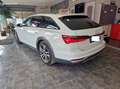 Audi A6 allroad - 40 TDI Quattro – TOIT PANO, CUIR, CAMÉRA Blanc n Blanc - thumbnail 2