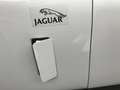 Jaguar XK 140 FHC|Classic Data 2+|viel investiert| Blanco - thumbnail 13