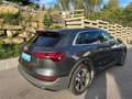 Audi e-tron 50 quattro basis Grau - thumbnail 3