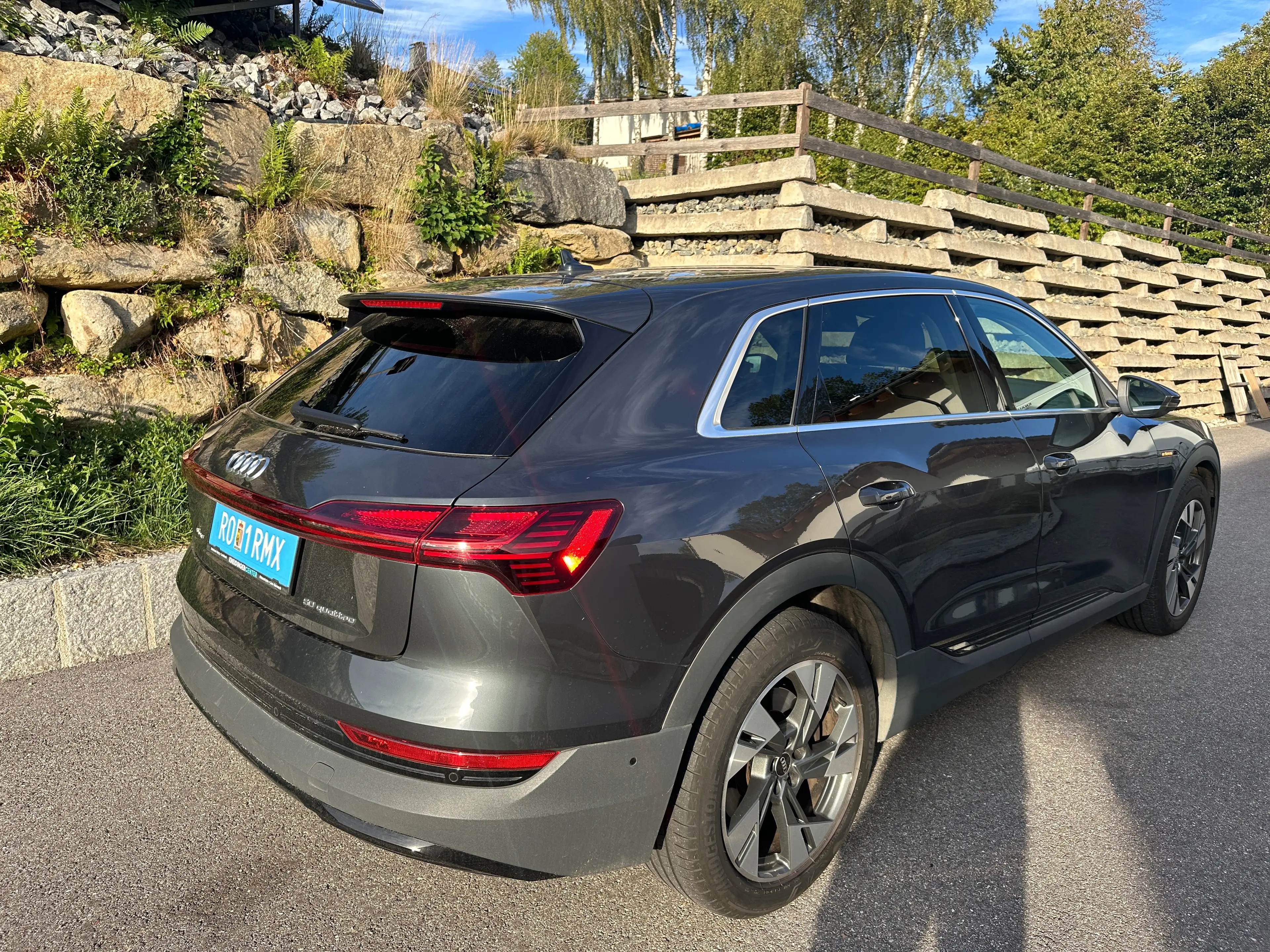 Audi e-tron 50 quattro basis — photo 3