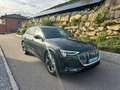 Audi e-tron 50 quattro basis Grau - thumbnail 5