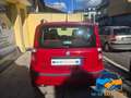 Fiat Panda 1.2 Dynamic UNICO PROPRIETARIO Rosso - thumbnail 5