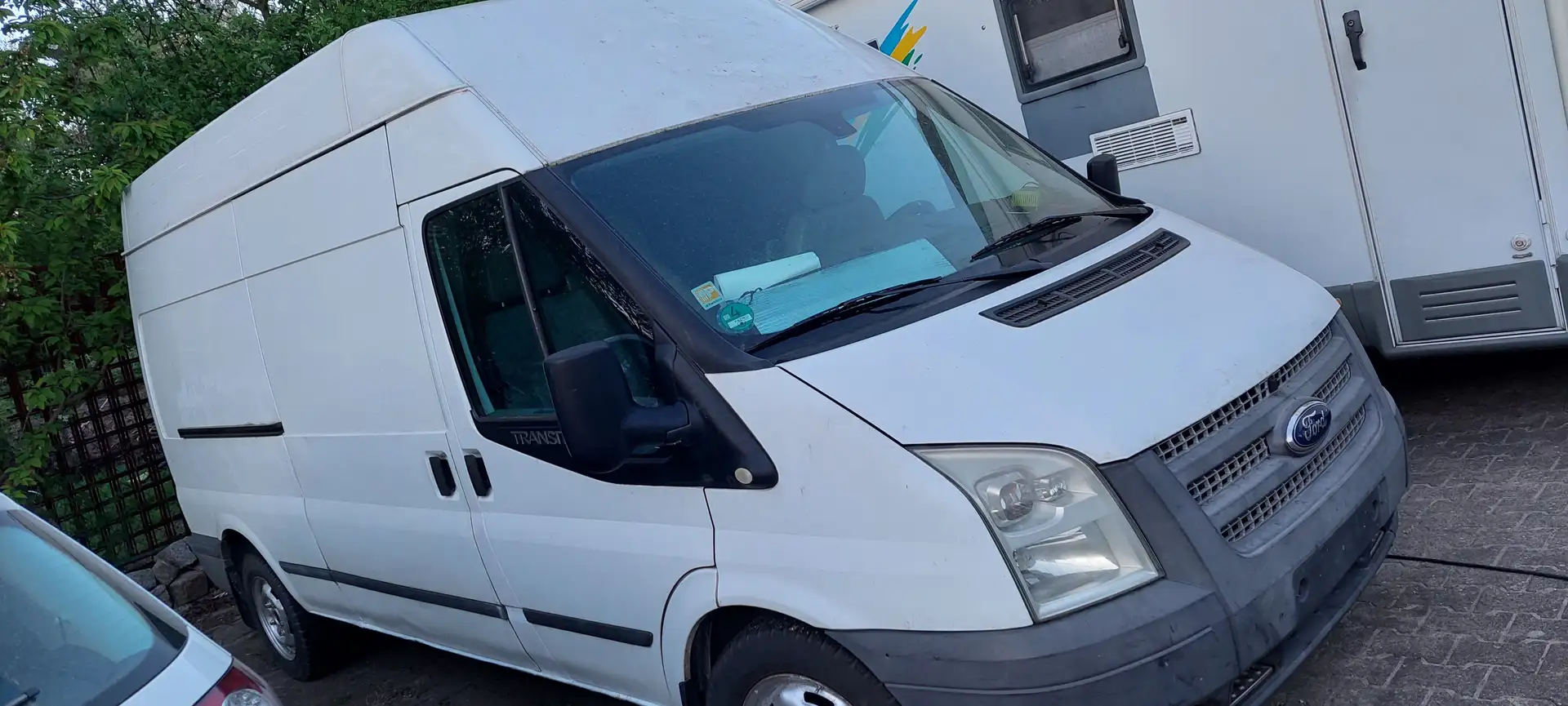 Ford Transit Bus 300 D Wit - 1