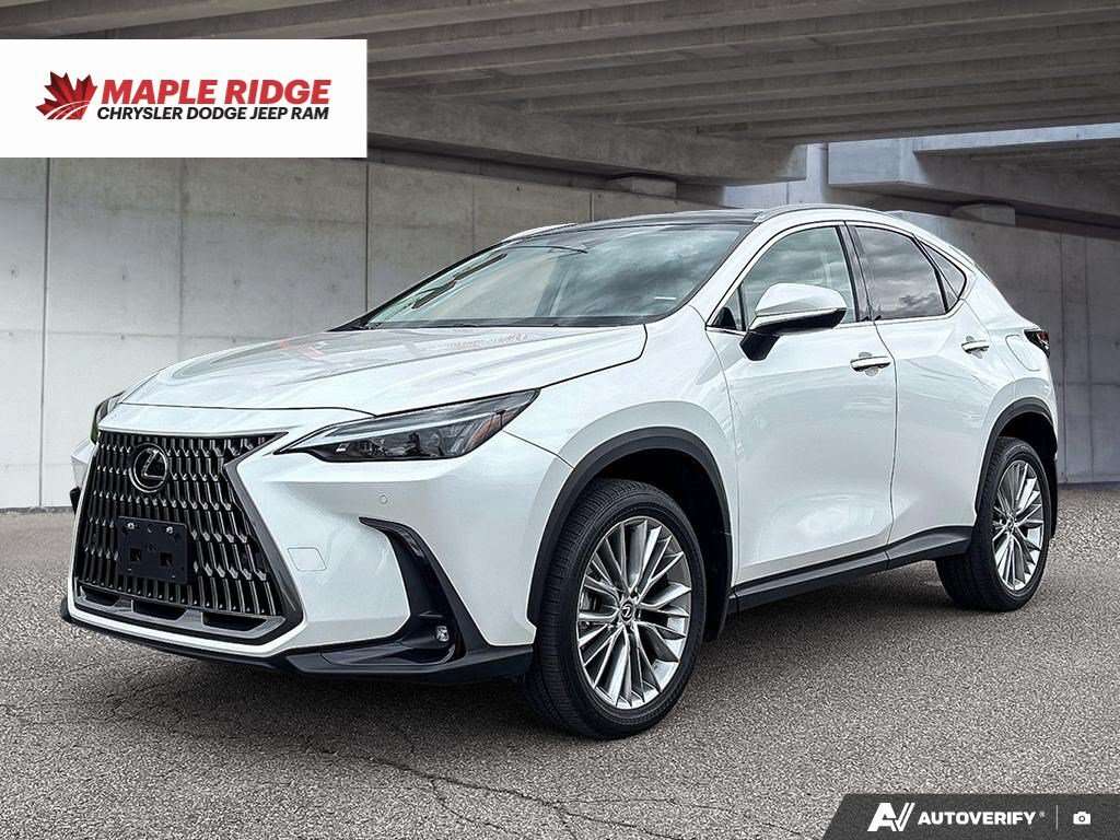 2024 Lexus NX NX 350