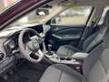 Nissan Juke JUKE ACENTA 1.0 DIG-T 114 PS  6MT NAVI KLIMA SHZ Rot - thumbnail 7