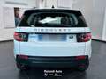 Land Rover Discovery Sport 2.0 ed4 Pure 2wd 150cv Weiß - thumbnail 6