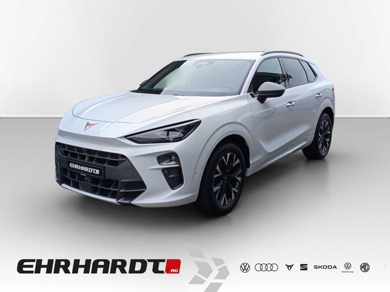 Cupra Terramar 2025