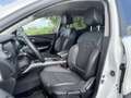Renault Kadjar 1.2 TCe Intens Wit - thumbnail 12