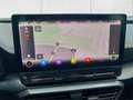 CUPRA Formentor VZ 4Drive 2.0 TSI AHK Pano Brembo Navi DigiCock Me Grau - thumbnail 16