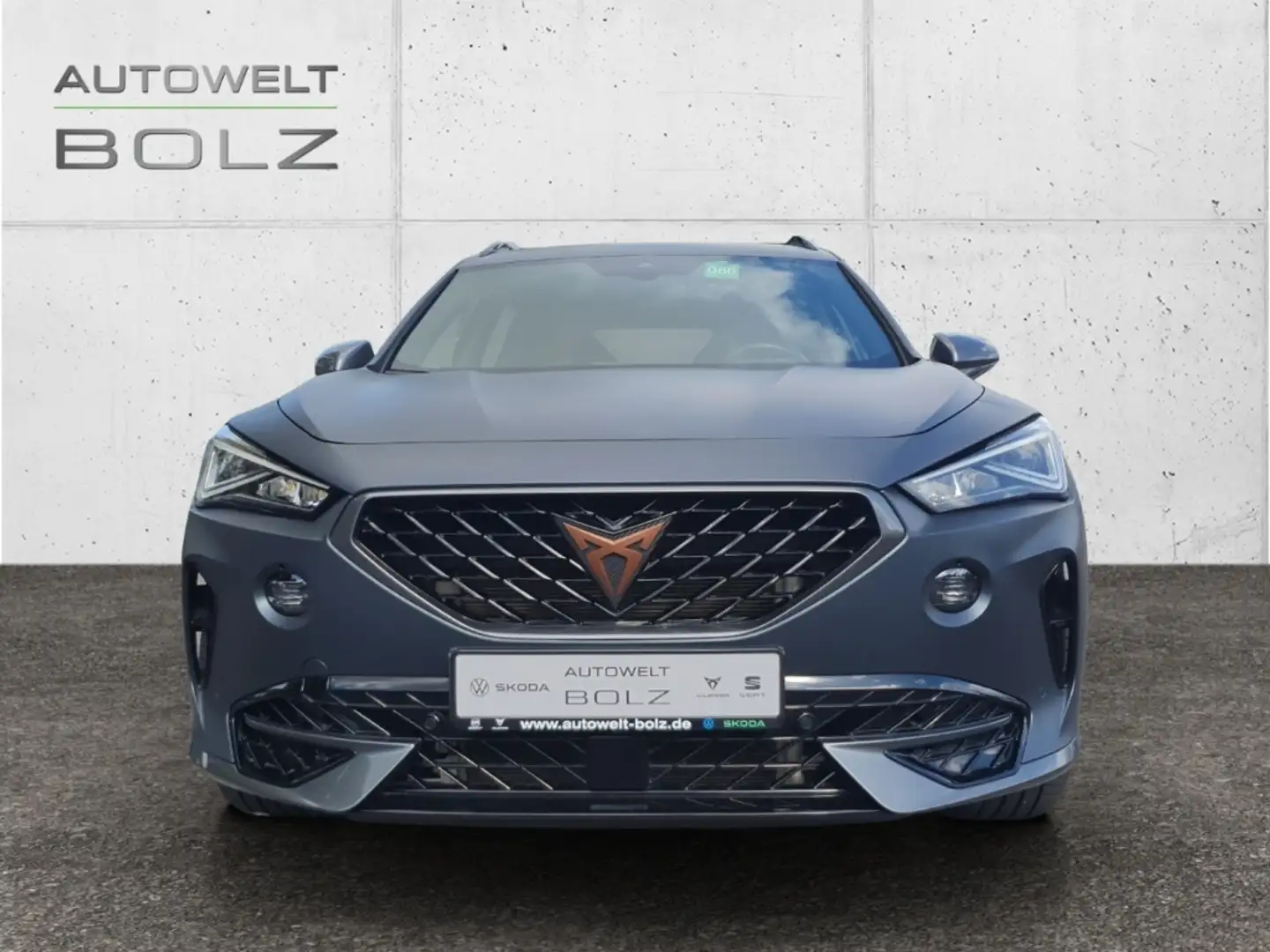 CUPRA Formentor VZ 4Drive 2.0 TSI AHK Pano Brembo Navi DigiCock Me Grau - 2
