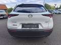 Mazda CX-30 e-Skyactive G122 Homura Automatik JAHRESWAGEN-A... Blanc - thumbnail 10
