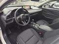 Mazda CX-30 e-Skyactive G122 Homura Automatik JAHRESWAGEN-A... Blanc - thumbnail 11