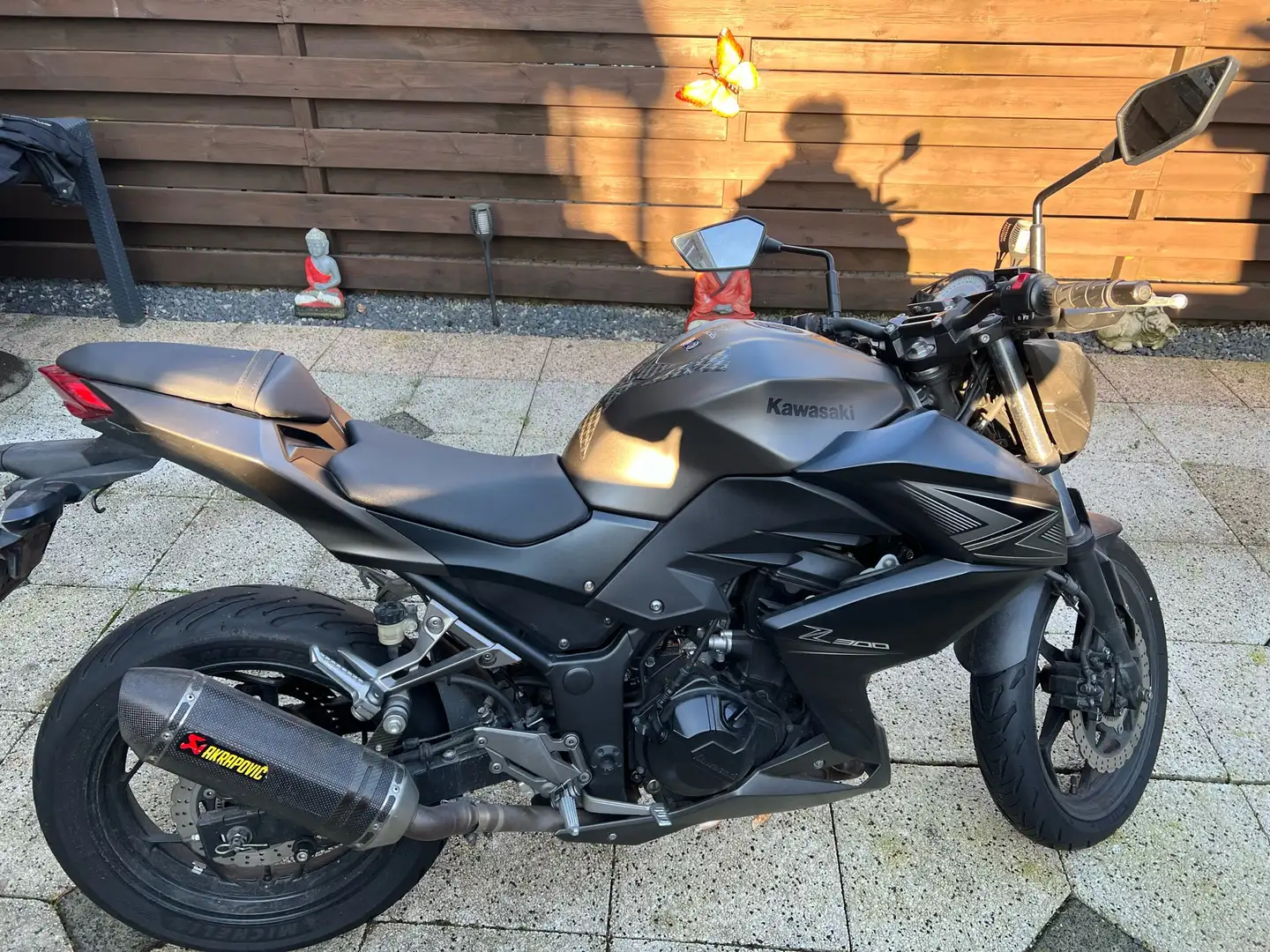 Kawasaki Z 300 Performance Edition | A2 | ABS - 2
