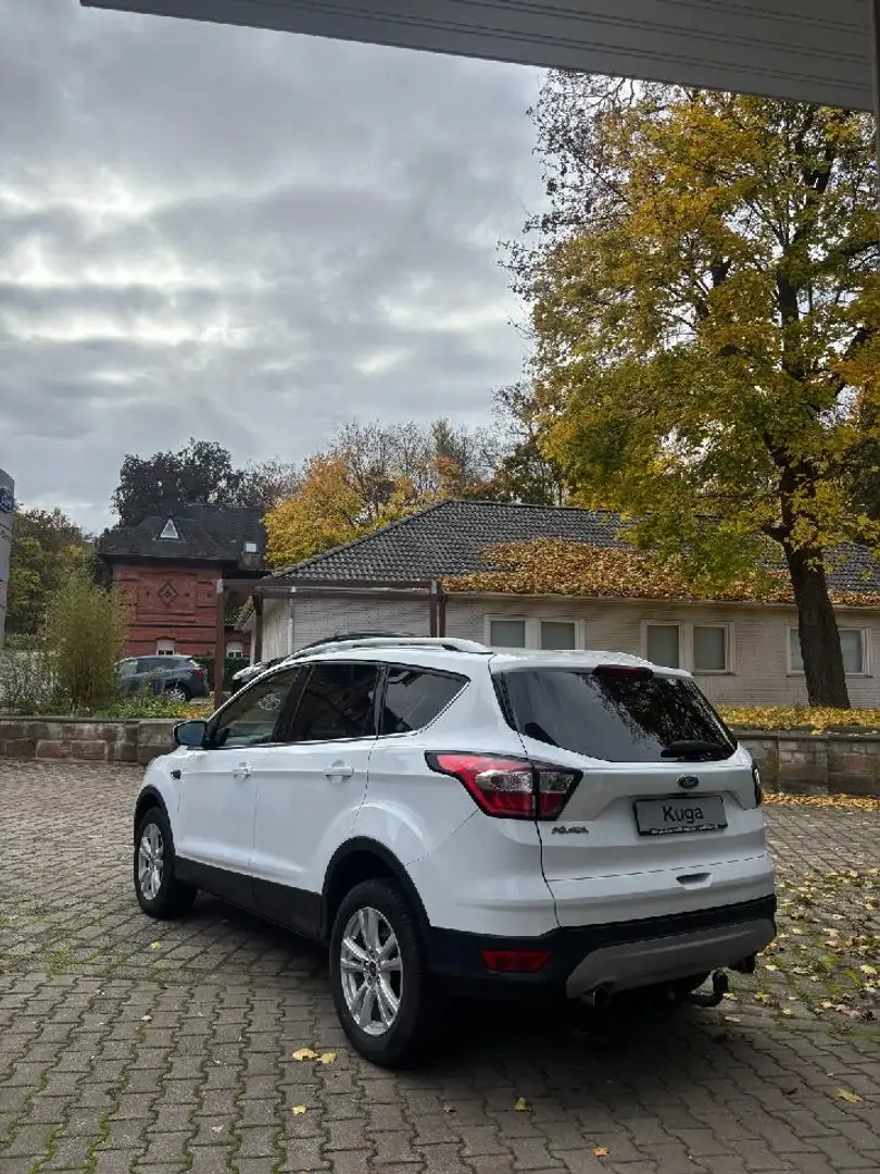Ford Kuga Cool & Connect Weiß - 2