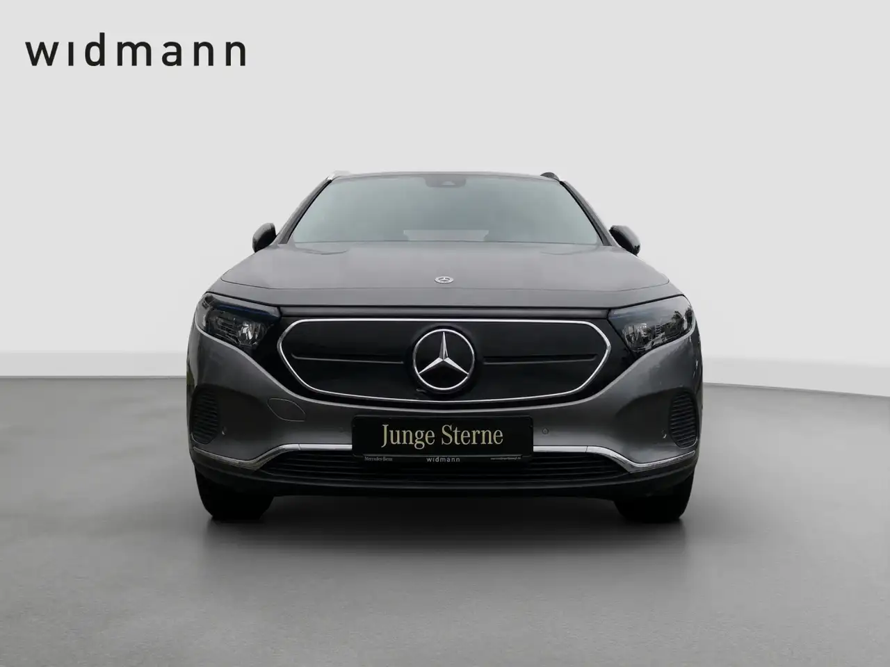 Mercedes-Benz EQA *Progressive*Park-Paket*360°Kamera*Navi*, миниатюра 2