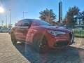 Alfa Romeo Stelvio 2.2 Turbodiesel 160 CV AT8 GUARDA LA PROVA Strada Rosso - thumbnail 8