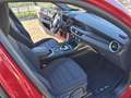 Alfa Romeo Stelvio 2.2 Turbodiesel 160 CV AT8 GUARDA LA PROVA Strada Rosso - thumbnail 30