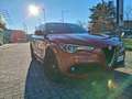 Alfa Romeo Stelvio 2.2 Turbodiesel 160 CV AT8 GUARDA LA PROVA Strada Rosso - thumbnail 7