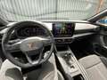 CUPRA Formentor Formentor 2.0 tdi 150cv - Opaca - Tetto Grigio - thumbnail 10