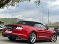 Ford Mustang Mustang 5,0 Ti-VCT V8 GT Cabrio Aut. GT Rot - thumbnail 8