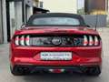 Ford Mustang Mustang 5,0 Ti-VCT V8 GT Cabrio Aut. GT Rot - thumbnail 9