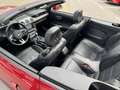 Ford Mustang Mustang 5,0 Ti-VCT V8 GT Cabrio Aut. GT Rot - thumbnail 15