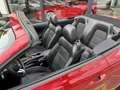 Ford Mustang Mustang 5,0 Ti-VCT V8 GT Cabrio Aut. GT Rot - thumbnail 3