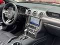 Ford Mustang Mustang 5,0 Ti-VCT V8 GT Cabrio Aut. GT Rot - thumbnail 20