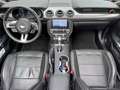 Ford Mustang Mustang 5,0 Ti-VCT V8 GT Cabrio Aut. GT Rot - thumbnail 12