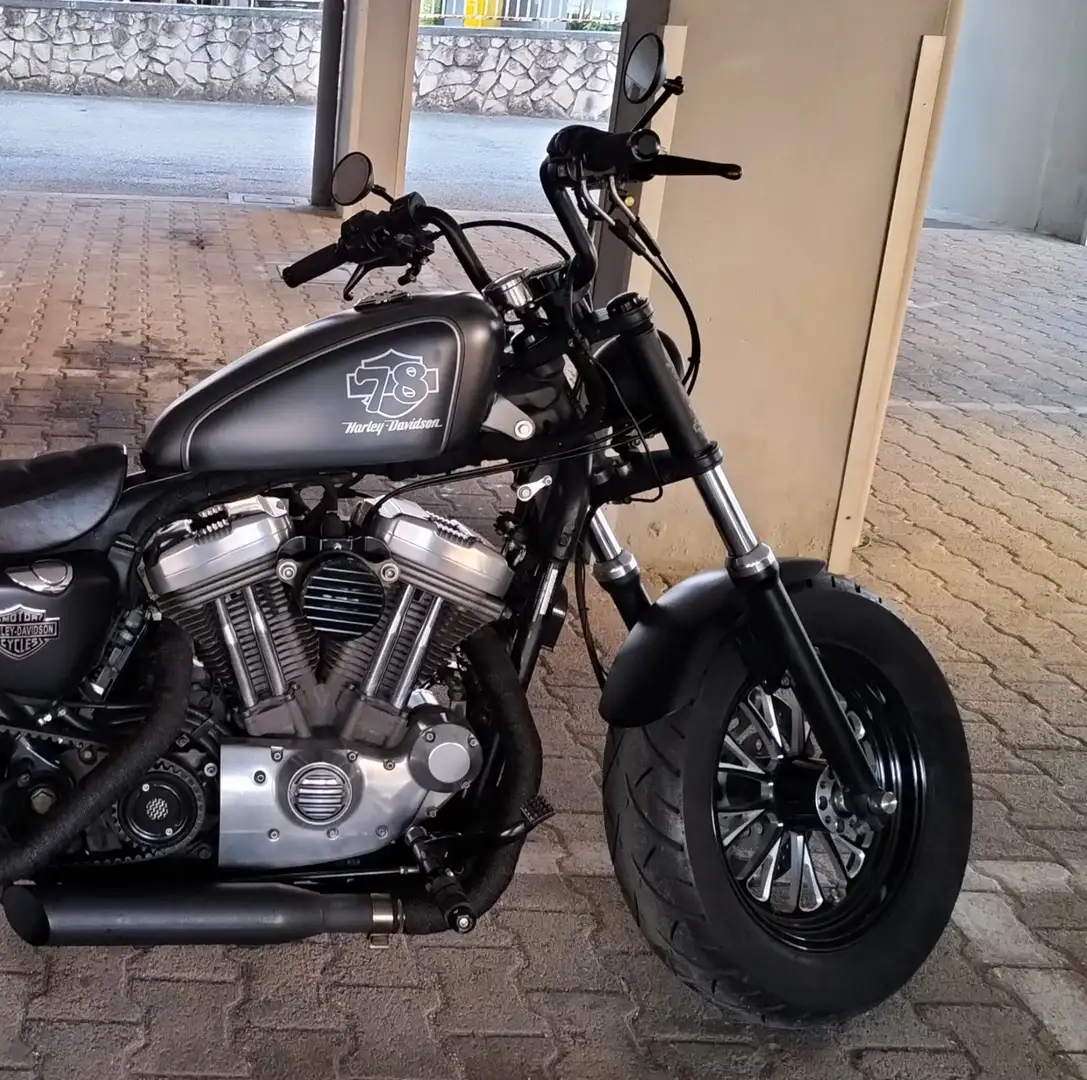 Harley-Davidson Sportster 883 Gri - 1