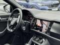 Skoda Kodiaq 2,0 TDI SCR 4x4 Sportline DSG Standheizung AHK ... Gris - thumbnail 15