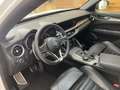 Alfa Romeo Stelvio 2.2 Turbodiesel 210 CV AT8 Q4 Executive - thumbnail 8